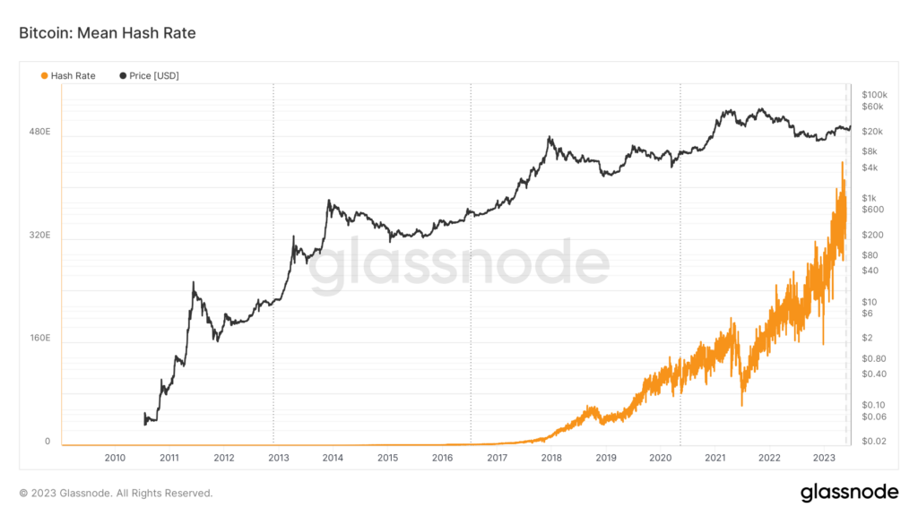BTC Hashrate. Nguồn: Glassnode