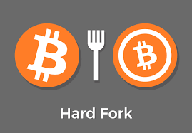 Hard Fork là gì?