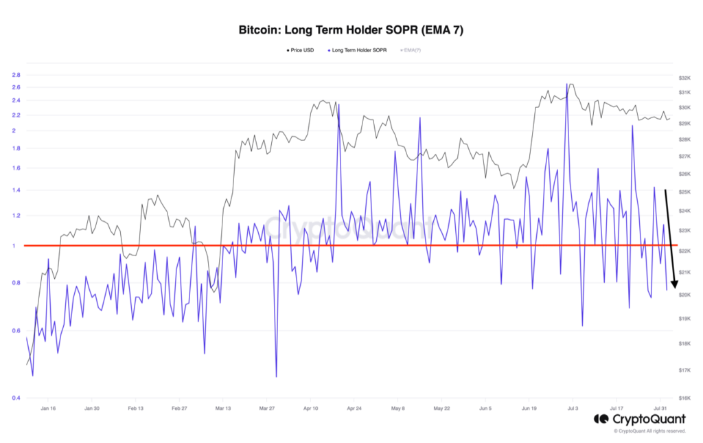 Chỉ số SOPR của các nhà đầu tư dài hạn. Nguồn: CryptoQuant